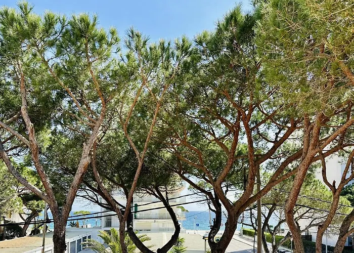 Сasa de vacaciones Brisa Costabravasi *